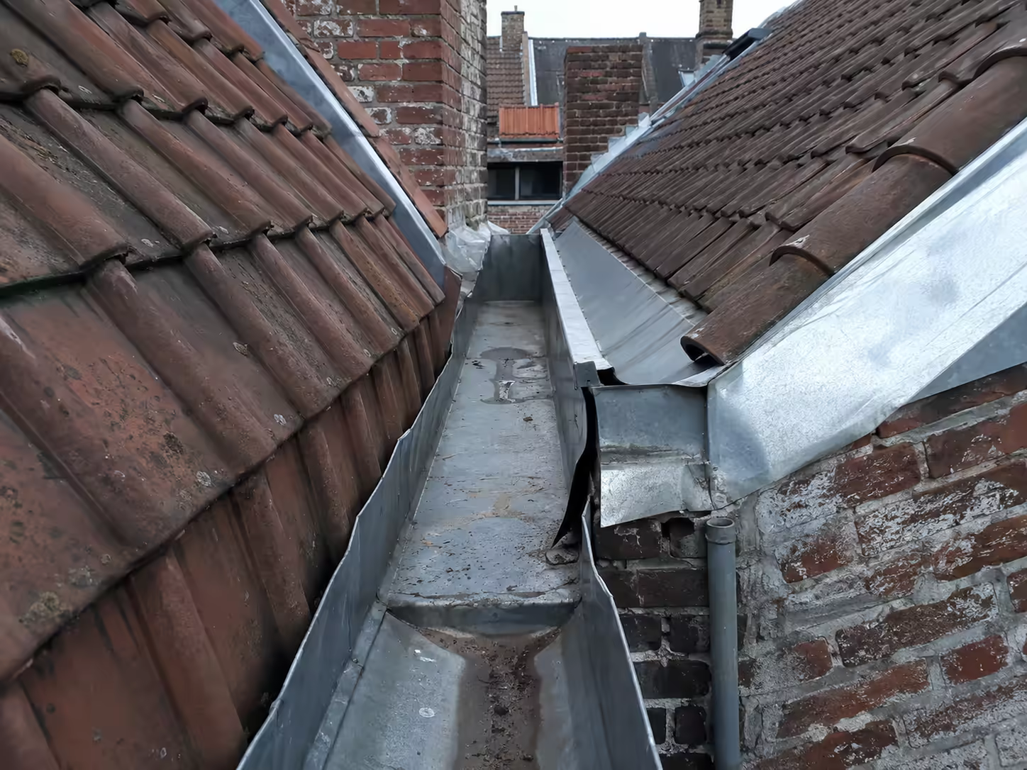 succession de toitures et chéneaux derrière une maison de ville à Lille