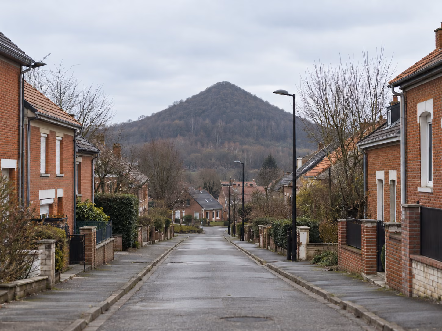 Un terril boisé visible au bout d’une rue résidentielle bordée de maisons en brique