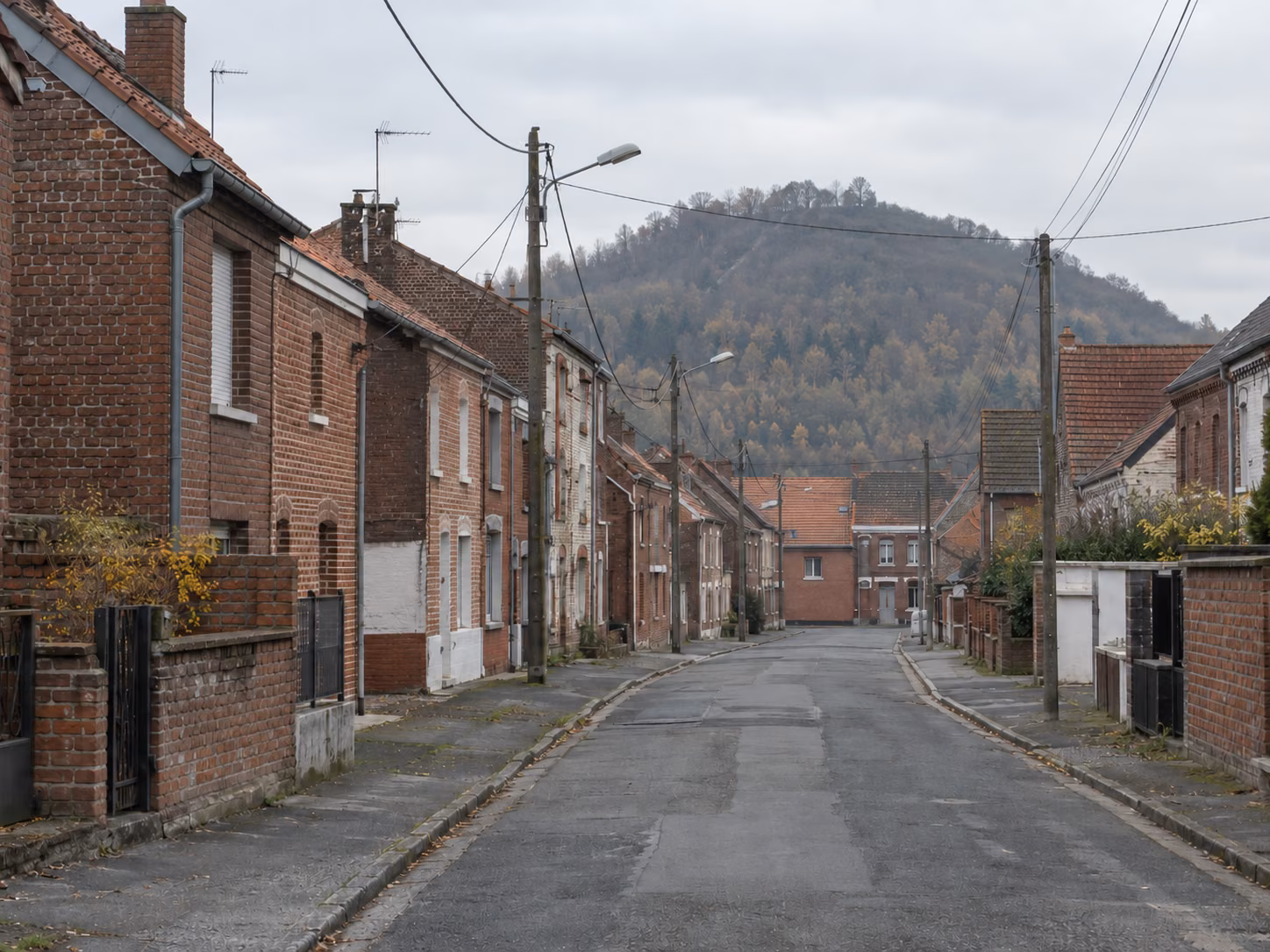 Un terril boisé visible au bout d’une rue résidentielle bordée de maisons en brique