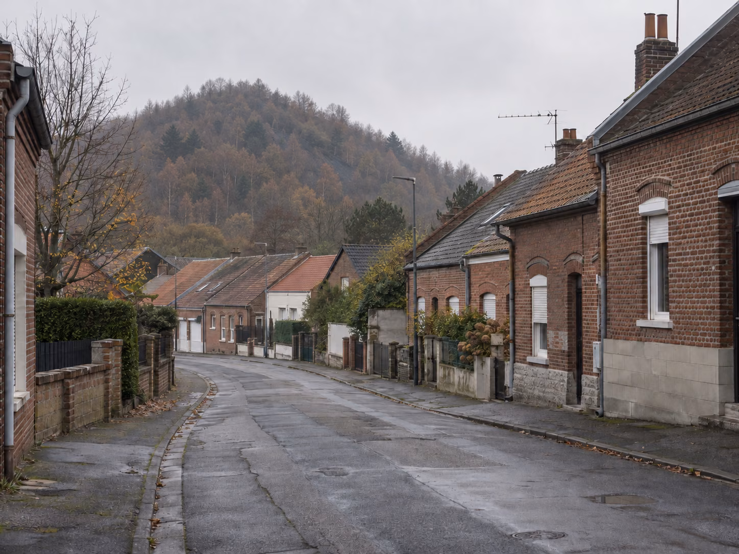 Un terril boisé visible au bout d’une rue résidentielle bordée de maisons en brique