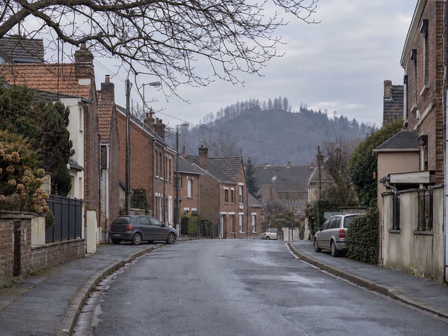 Un terril boisé visible au bout d’une rue résidentielle bordée de maisons en brique